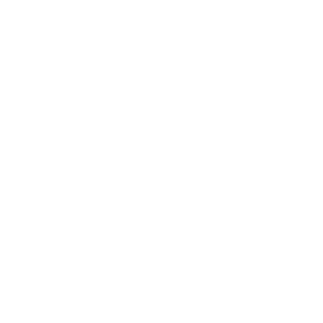 THE ALPS HOTEL HAKUBA
